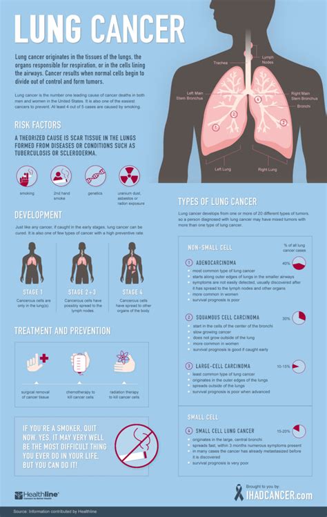 Down a Path of Epigenetic Destruction: Smoking Cigarettes Adjusts ...