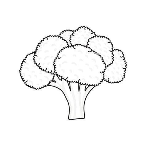 Premium Vector | Broccoli vector illustration. cartoon broccoli vegetable. broccoli hand draw ...