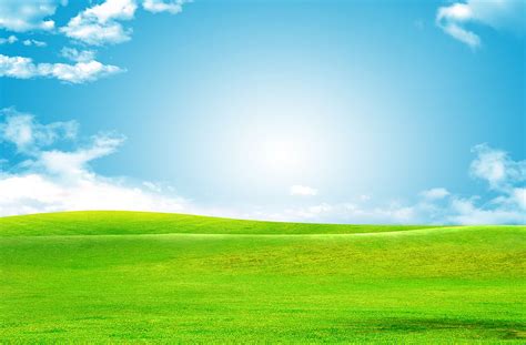 Sky Green Grass Backgrounds, sky and grass HD wallpaper | Pxfuel