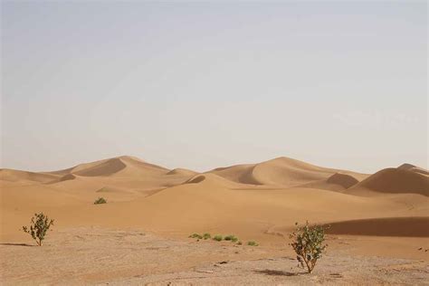 Landscapes of Sahara - Desert Candles