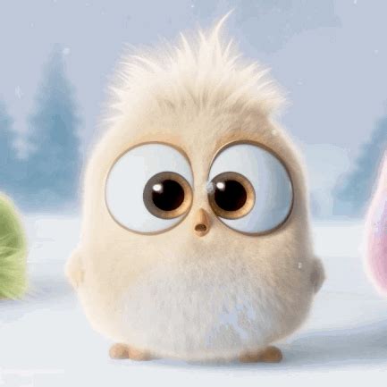 Hatchlings GIF by Angry Birds - Find & Share on GIPHY