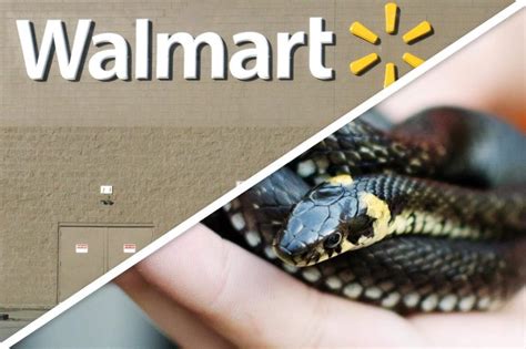 Craziest Things Walmart Employees Have Seen | Reader's Digest