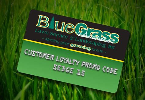 Control Yellow Nutsedge in Your Lawn - Blue Grass Lawn Care ...