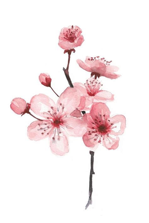 I also like apple and cherry blossoms. If this was upside down? branch coming off top of ...