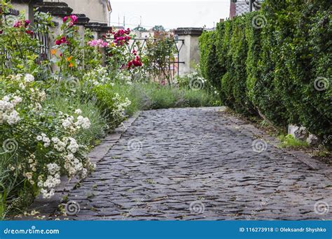 The Path is Paved with a Cobblestone in the Garden with Flowers Stock ...