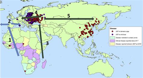 Praying to Change the World: Prayer about African swine fever vaccine