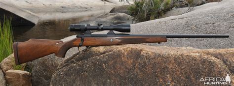 Sako .270 Rifle | AfricaHunting.com