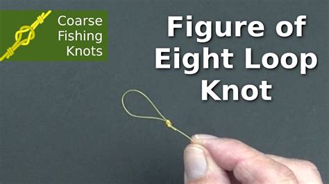 Figure of eight loop knot - How to tie - Fishing