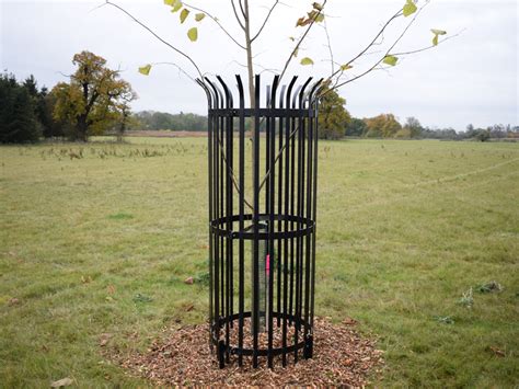 Tree Guards – Paddock Fencing