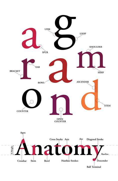 Garamond Pro Anatomy of Typography - Poster Design :: Behance