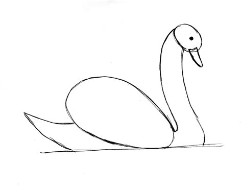 Swan Drawing Step by Step | Art Starts