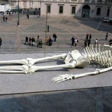 Largest Human Skeleton