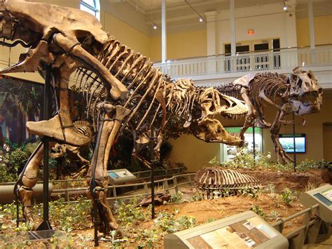 Pittsburgh, PA: Dinosaurs in Carnegie Museum | harry_nl | Flickr