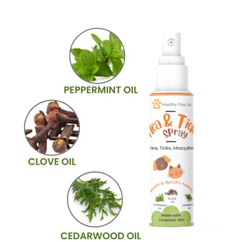 Effective Flea and Tick Spray for Dogs and Cats – Healthy Paw Life