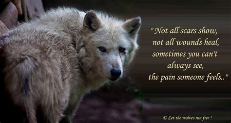 Let the wolves run free.WARRIOR KNOW THESE WORDS''''HE HAS SCARS THAT DONT SHOW AND NOT SURE ...