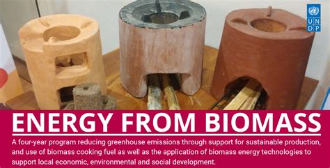 Energy from Biomass Project factsheet (2020) | United Nations ...