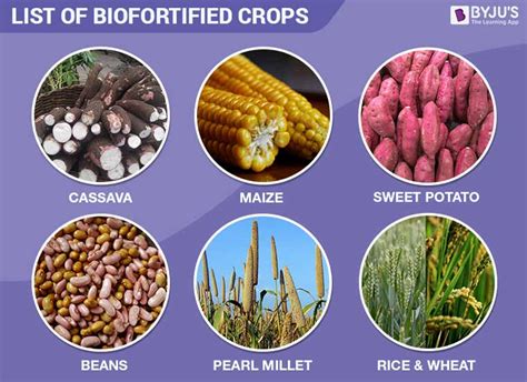 PAEPARD - FARA: Advocacy for scaling up biofortified crops