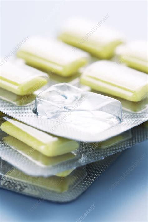 Nicotine gum - Stock Image - M370/1209 - Science Photo Library