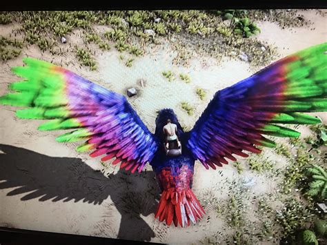 Selling rainbow argy level 216 barely leveled. Pvp. Also have many other colors. Pm for stats ...