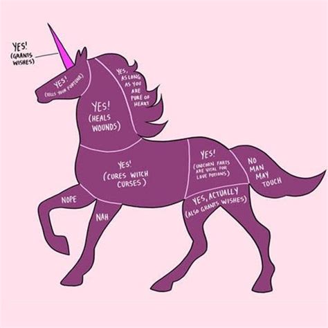 Made Us Look: The Proper Way to Pet a Unicorn - Brit + Co