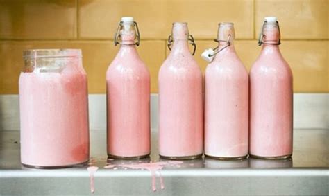 Everything You Ever Wanted to Know About Hippopotamus Breast Milk (FYI ...