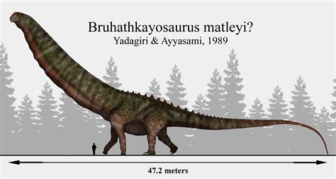 Probably a Tree: Bruhathkayosaurus matleyi by RhysDylan01 | Prehistoric ...