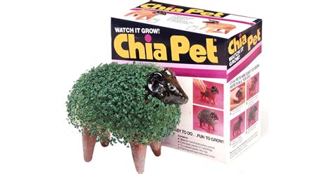 Chia Pet: The Perfect Terracotta Pet with an Even Better Jingle – RETROPOND