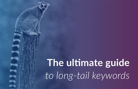 The ultimate guide to long-tail keywords and how to use them within your SEO efforts | Varn