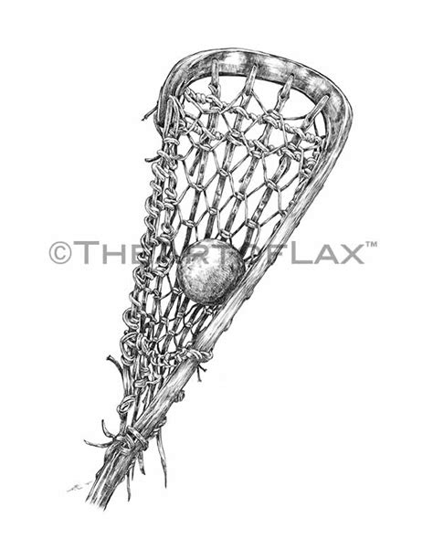 Lacrosse Stick Sketch at PaintingValley.com | Explore collection of Lacrosse Stick Sketch