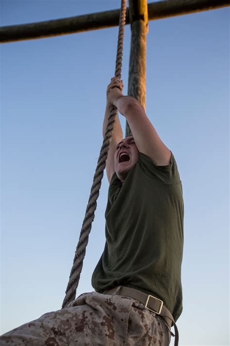 DVIDS - Images - Marine recruits test strength, balance on Parris Island obstacle course [Image ...