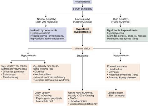 Diagnosis And Management Of Hyponatremia RECAPEM, 50% OFF