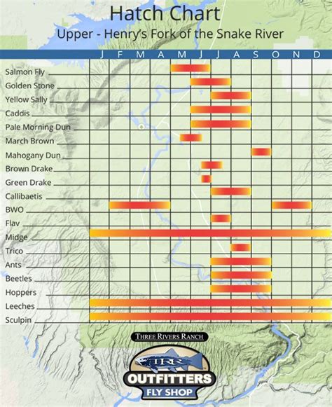 Henry's Fork Hatch Chart for the Upper Henrys Fork - TRR Outfitters