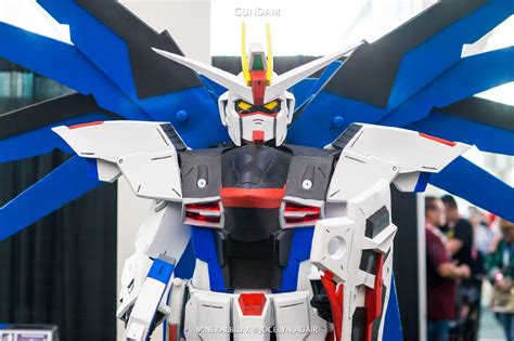 Freedom cosplay! : Gundam