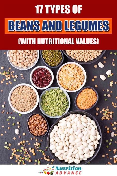 17 Types of Beans and Legumes (With Nutritional Values) | Types of ...