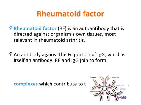 Rheumatoid Factor and Its Diagnositc Significance