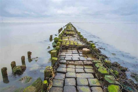 Ram Setu Floating Stone Facts and Truth | Mystery of the Floating Stones!