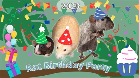 Rat Birthday Party 23 - YouTube