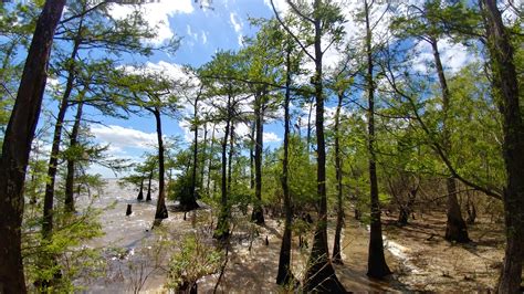 Anahuac National Wildlife Refuge in Anahuac, TX. Such a unique place. : r/texas