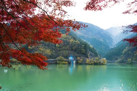 Explore the hidden beauty of Japan's Saitama Prefecture - Lonely Planet