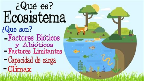 🌎Ecosistema | Factores Bióticos y Abióticos 🌿 | [Fácil y Rápido ...