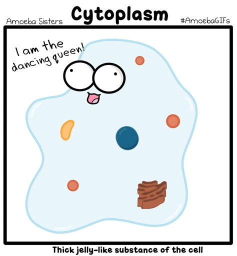 The Amoeba Sisters — We have a new GIF! It’s cytoplasm…the dancing...