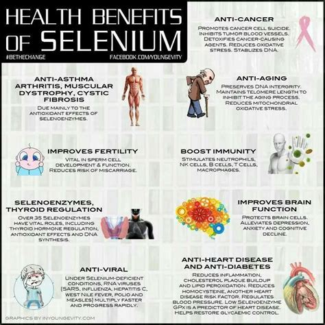 Benefits of Selenium Supplements - Botanicals One