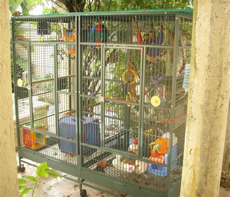 Monkey cage, pet capuchin monkey enclosure, primate care, enrichment ...