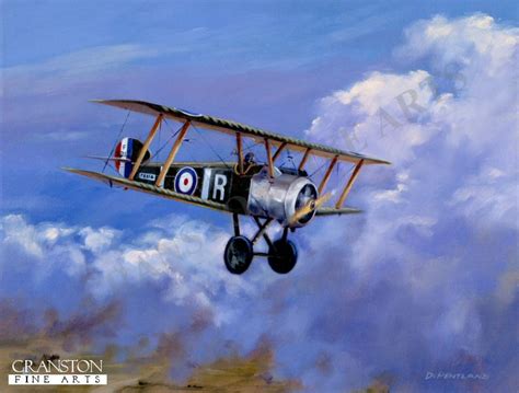 Homeward Bound - Sopwith Camel by David Pentland. (GS)