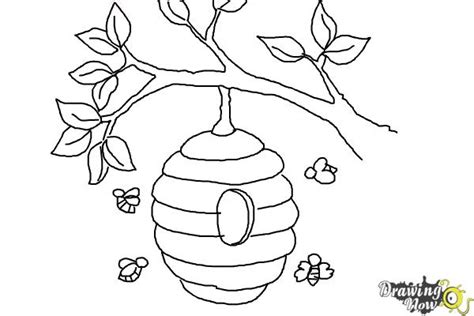 Bee Hive In Tree Drawing