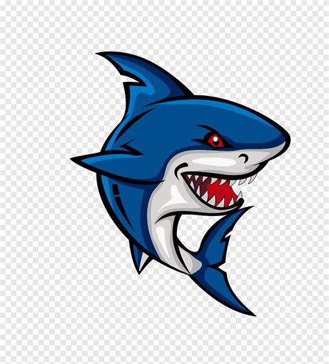 Free download | Cartoon shark, shark, animal png | PNGEgg