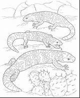 Desert Landscape Coloring Pages At GetColoringscom  Free Printable sketch template