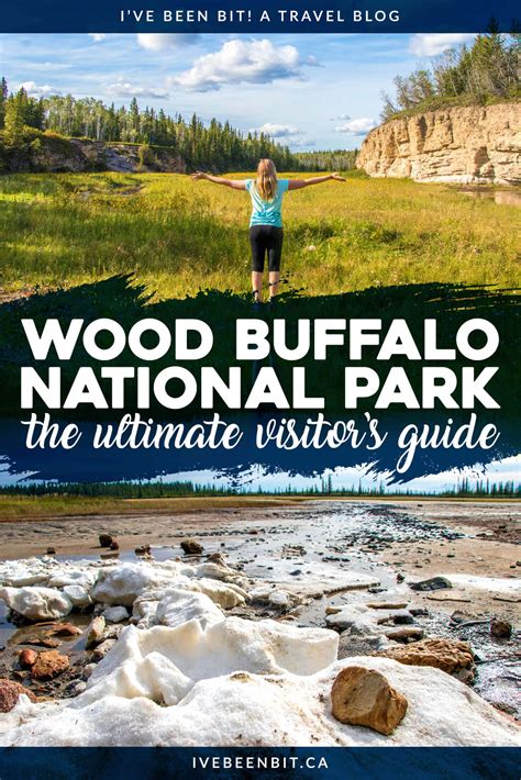 Wood Buffalo National Park: The Ultimate Outdoor Destination » I've Been Bit! Travel Blog