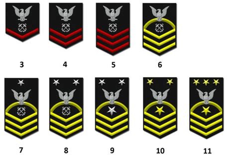 Ranks of the US Navy - Militär Wissen