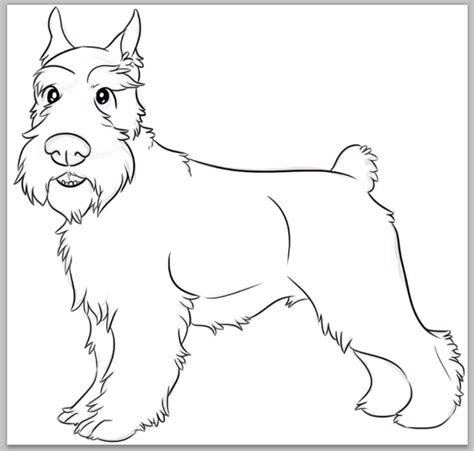 Schnauzer Line Drawing at GetDrawings | Free download